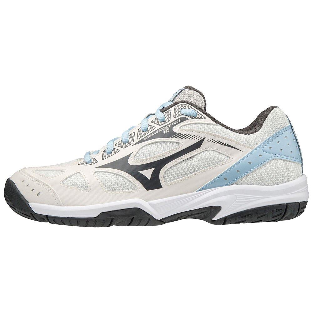 Men's Mizuno Volleyball Shoes Grey Cyclone Speed 2 Shoes - V1GC198018